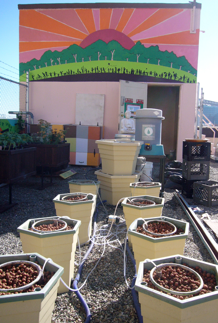 Compost Tea News Graze The Roof